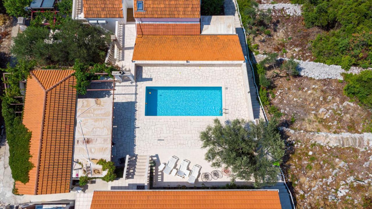 Apartment Castello